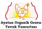 Ayatan Organik Gezen Tavuk Yumurtası  - Bursa